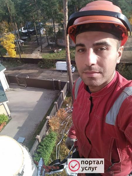 Фото Удаление деревьев 