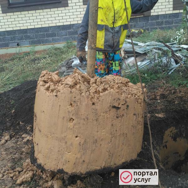 Фото Колодец за 1 день