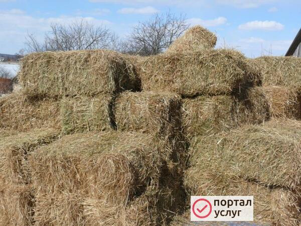 Фото  Сено (разнотравье, люцерна) 
