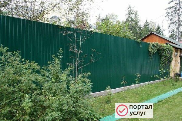 Фото Заборы