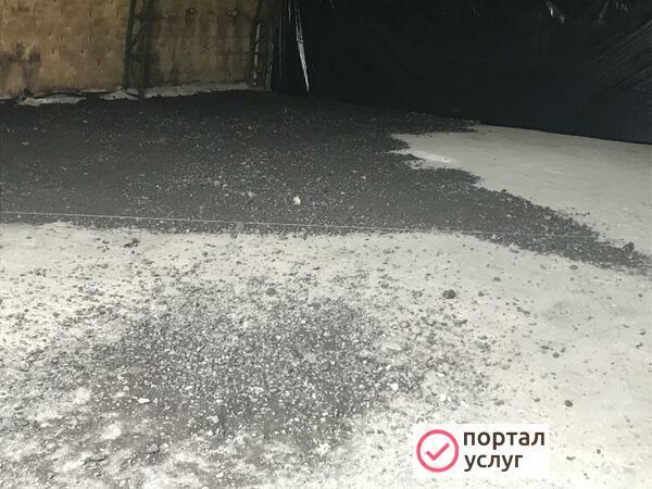 Фото Крошка 