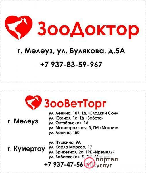 Фото современная ветеринарная клиника 