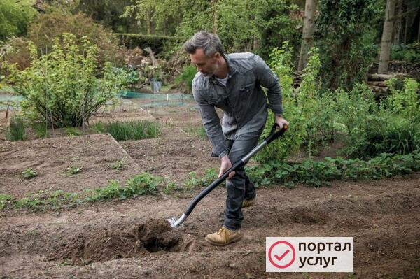 Фото Земляные работы. 