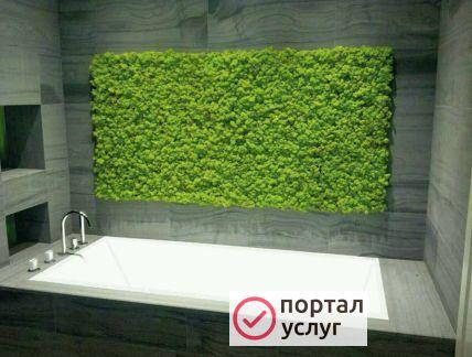 Фото Стабилизированный мох