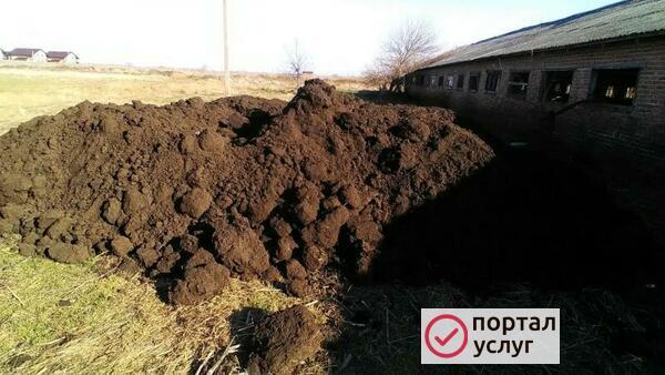 Фото Перегной Навоз Земля