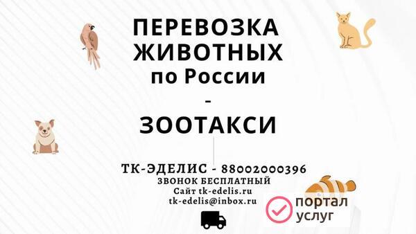 Фото Перевозка животных Ахтубинск