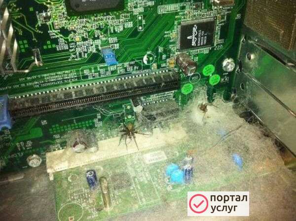 Фото Ремонт компьютеров и ноутбуков