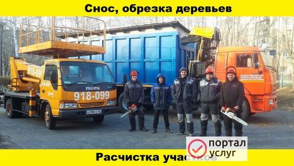 Фото Обрезка, спил деревьев