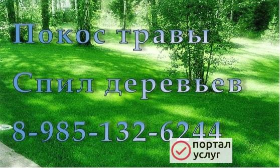Фото Мастер на даче