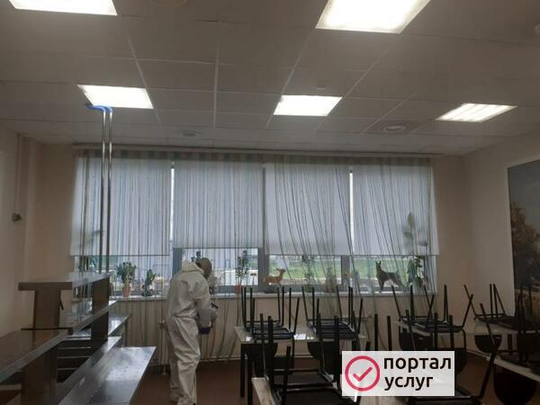 Фото Уничтожение насекомых 