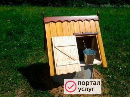 Фото Чистка питьевых колодцев
