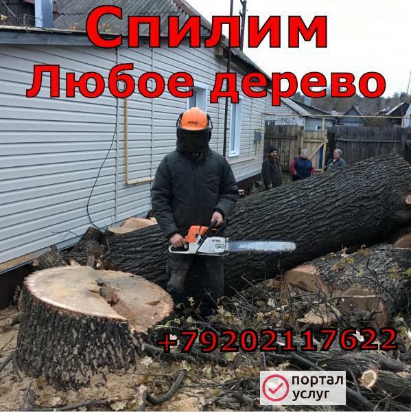 Фото Спиливание деревьев 