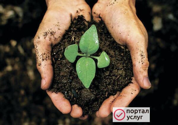 Фото Грунт универсальный навалом Гатчинский район
