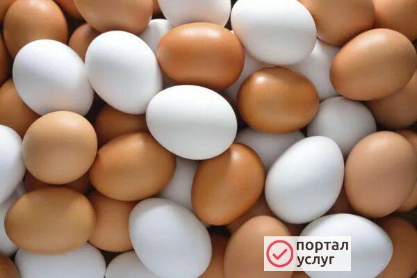 Фото Яйцо куриное, домашнее