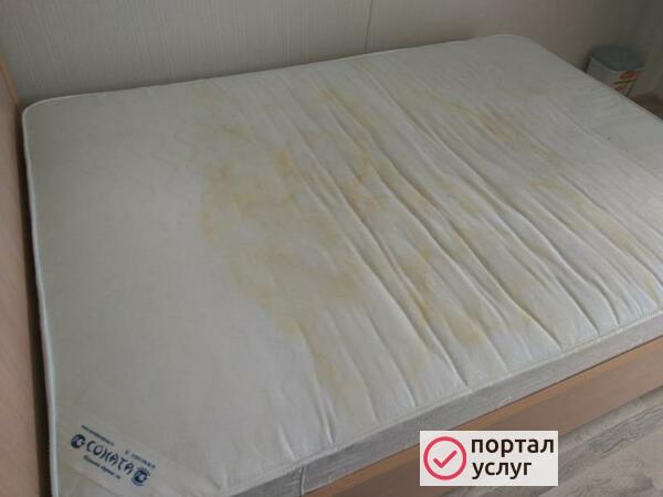 Фото Химчистка мебели