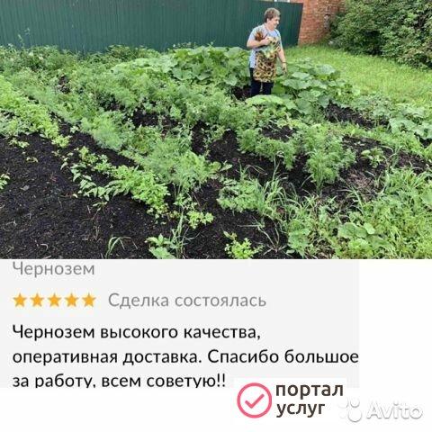 Фото ЧЕРНОЗЕМ 