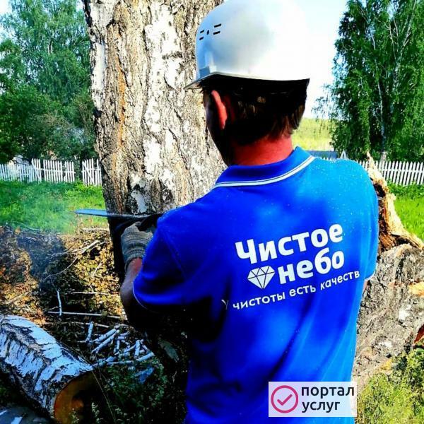 Фото Спил аварийных деревьев