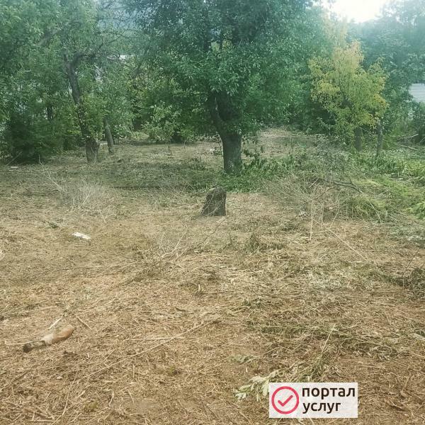 Фото Покос травы, спил деревьев.