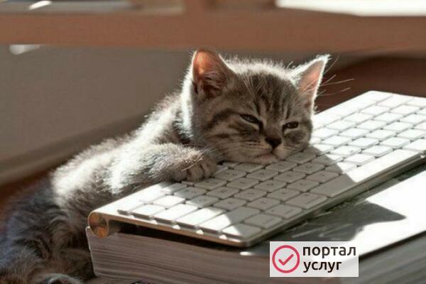 Фото Починю или настро ВАШ компьютер!