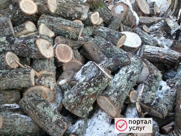 Фото Дрова(дуб,сосна,горбыль)