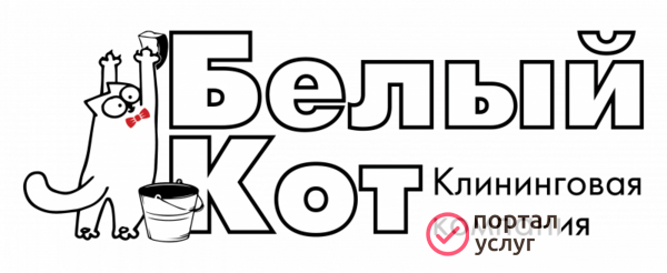 Фото мойка окон