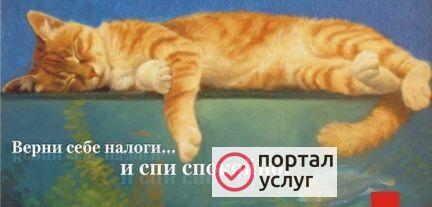 Фото Налоговые декларации
