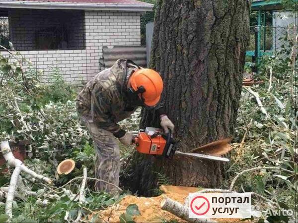 Фото Спиливание деревьев