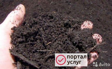 Фото Перегной