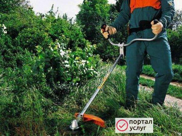 Фото Покос травы