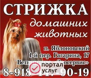 Фото Стрижка животных Профессиональный грумер