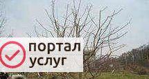 Фото Обрезка сада Шебекино