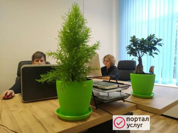 Фото Создание сайтов