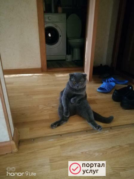 Фото Вязка