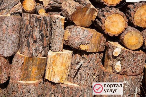 Фото ДРОВА СЕВАСТОПОЛЬ!