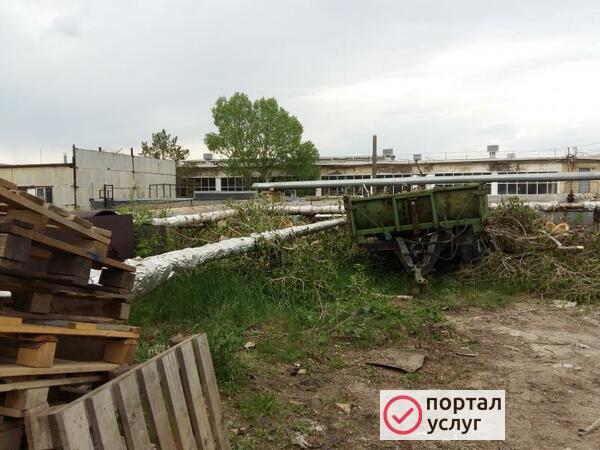 Фото Спил деревьв,благоустройство