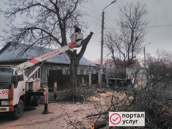 Фото Спил деревьев, вывоз +автовышка