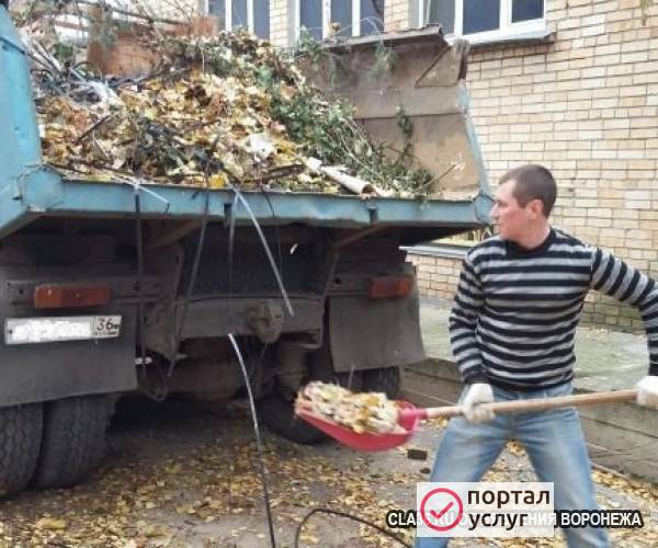 Фото Вывоз мусора уборка территории