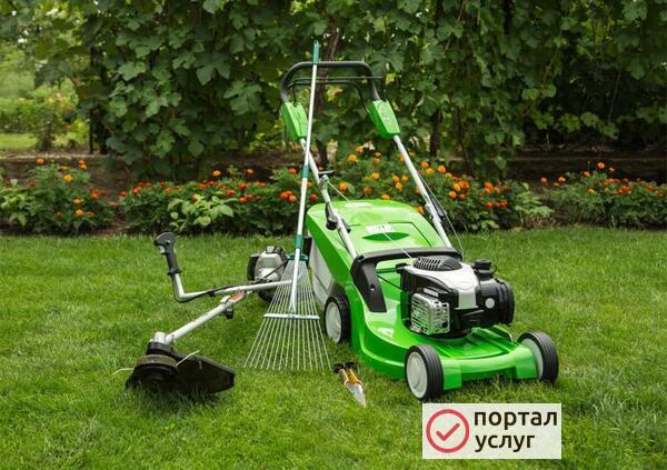 Фото стрижка газона+вывоз