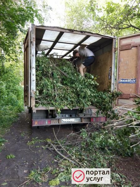 Фото Вывоз мусора