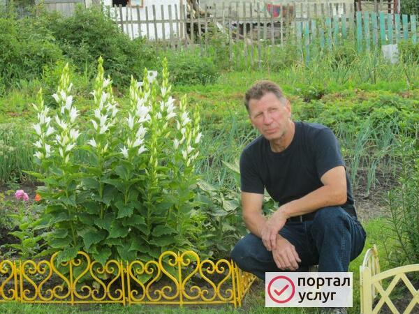 Фото Услуги по ремонту и доставке.