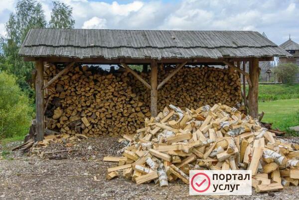 Фото Береза колотая
