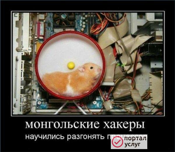 Фото КОМПЬЮТЕРНЫЙ МАСТЕР С ВЫЕЗДОМ