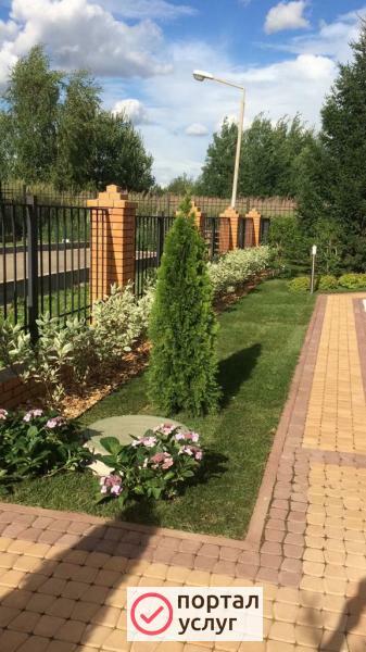 Фото Культивация земли минитрактором