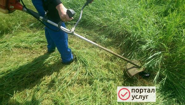 Фото ПОКОС ТРАВЫ 