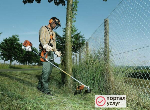 Фото ПОКОС ТРАВЫ 
