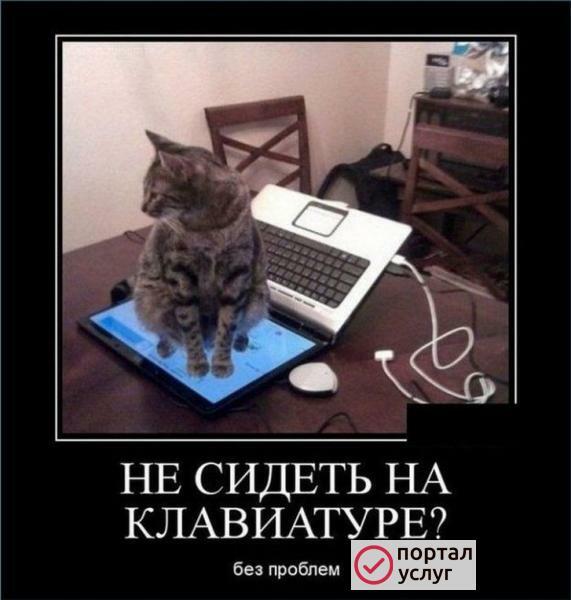 Фото НАстройка интернета