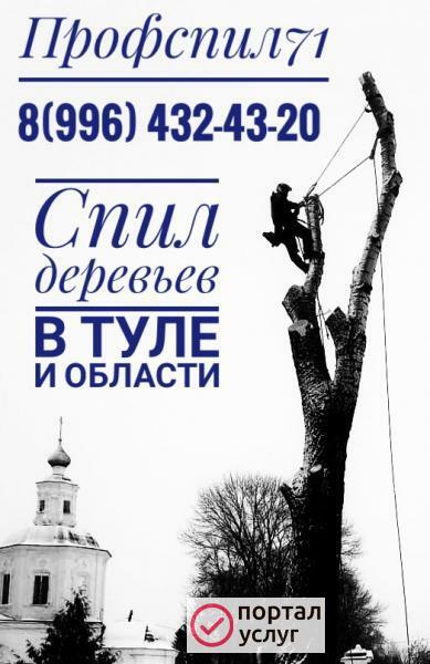 Фото Спил деревьев 