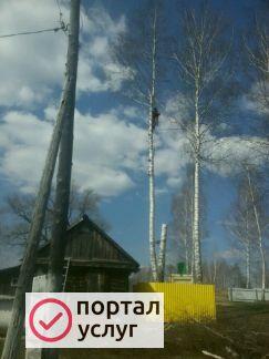 Фото Удаление деревьев