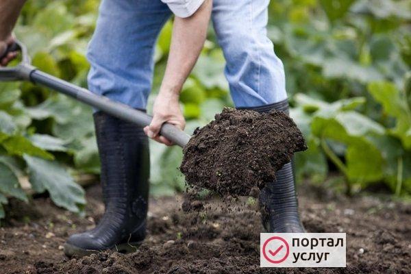 Фото Землекопы, Покос травы