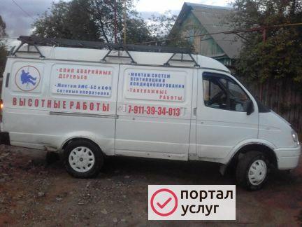 Фото Спил деревьев